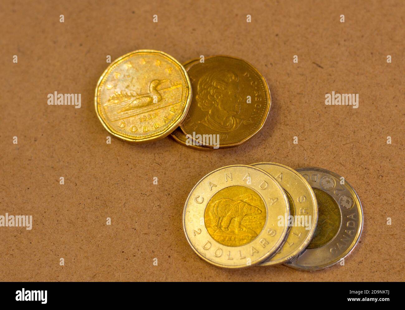 Kanadische Münze, Lonnie und Tonie Stockfoto