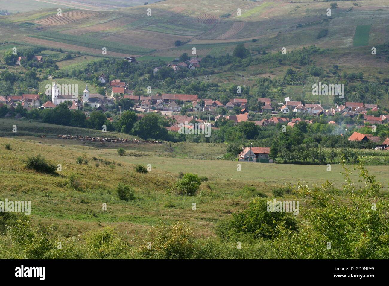 Alba County, Siebenbürgen, Rumänien. Dorf und landwirtschaftliches Land um es herum. Stockfoto