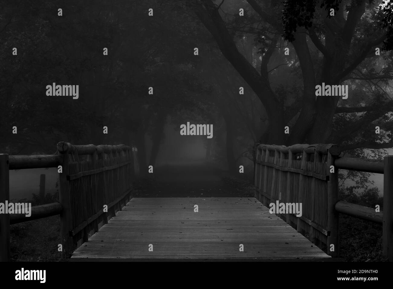 Frühmorgendlicher Nebel auf einem Radweg mit Brücke im Herbst, selektive Schärfe, Schärfe im Vordergrund Stockfoto