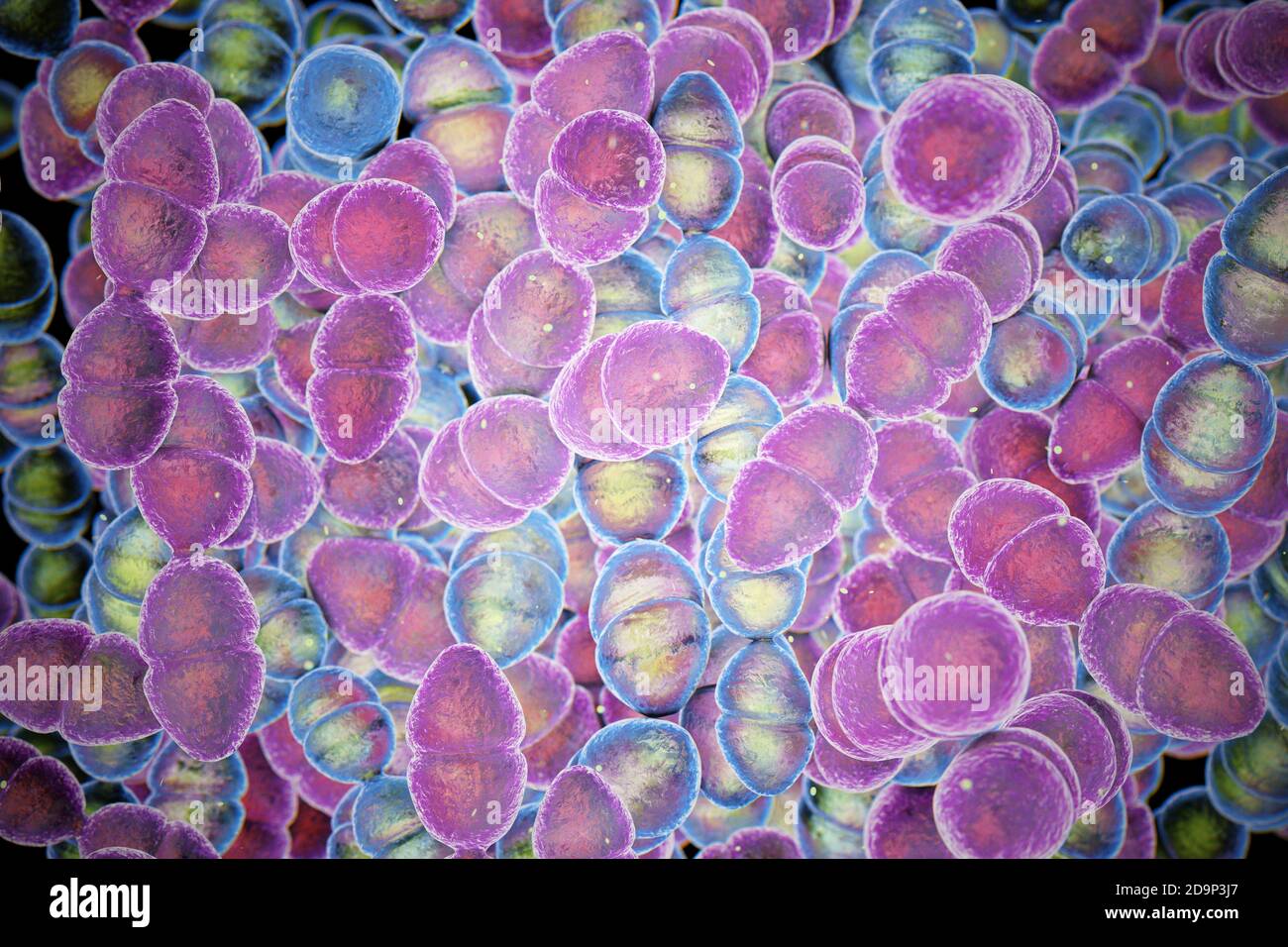 3d-Darstellung von Streptococcus mutans. S. mutans ist ein kokkoidförmiges, grampositives, anaerobes Bakterium, das Teil der normalen Bakterienflora ist Stockfoto