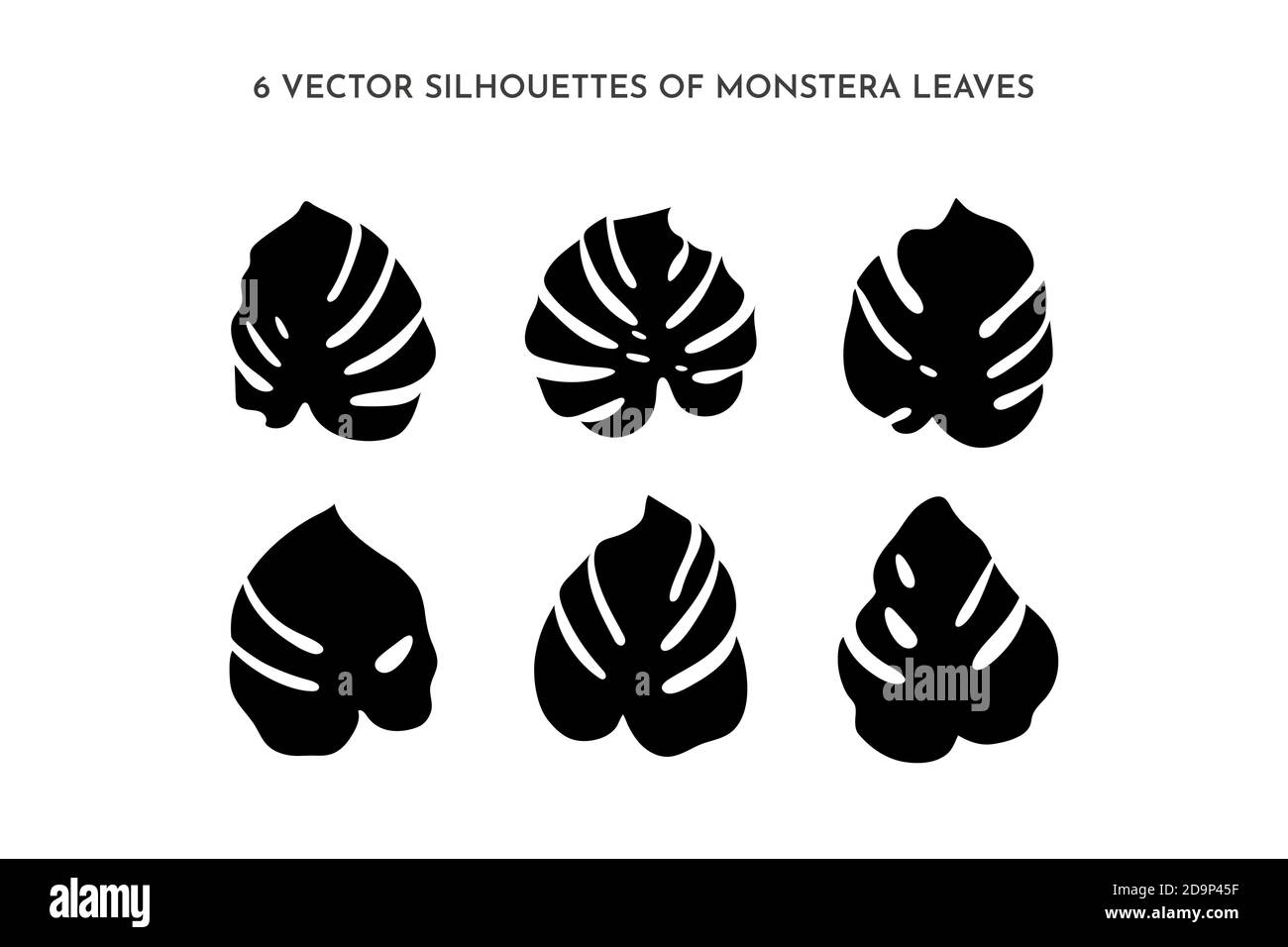 Set aus schwarzen Silhouetten von Monstera Blatt. Vektor-Palmblatt fr den  Druck auf T-Shirt, Web-Design, Beauty-Salons, Poster Stock-Vektorgrafik -  Alamy