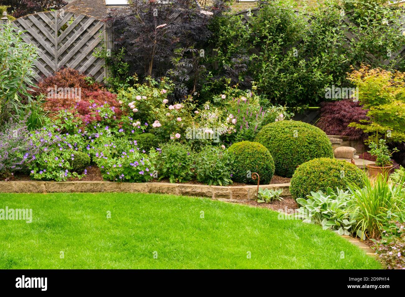 Landschaftlich gestalteter privater Garten (zeitgenössisches Design, Sommerblumen, definierte Grenze, Pflanzen, Sträucher, Kastenbälle, Wand, Zaun, Rasen) - Yorkshire, England Großbritannien. Stockfoto