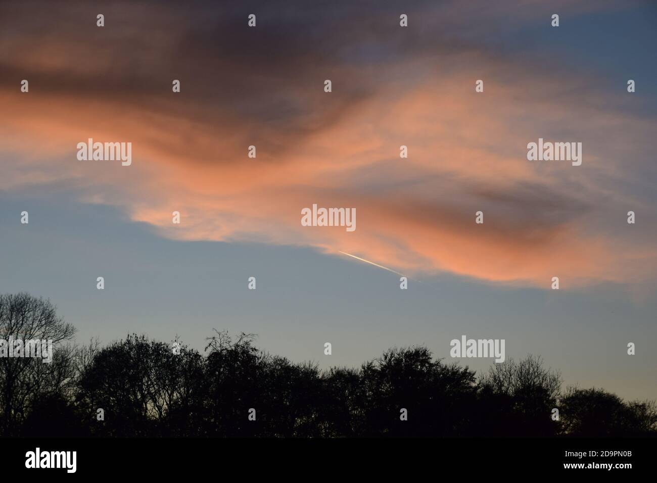 Cirrus-Art Wolken mit Farbe von der untergehenden Sonne getönt Hervorhebung Formen und Muster über den Himmel. Stockfoto