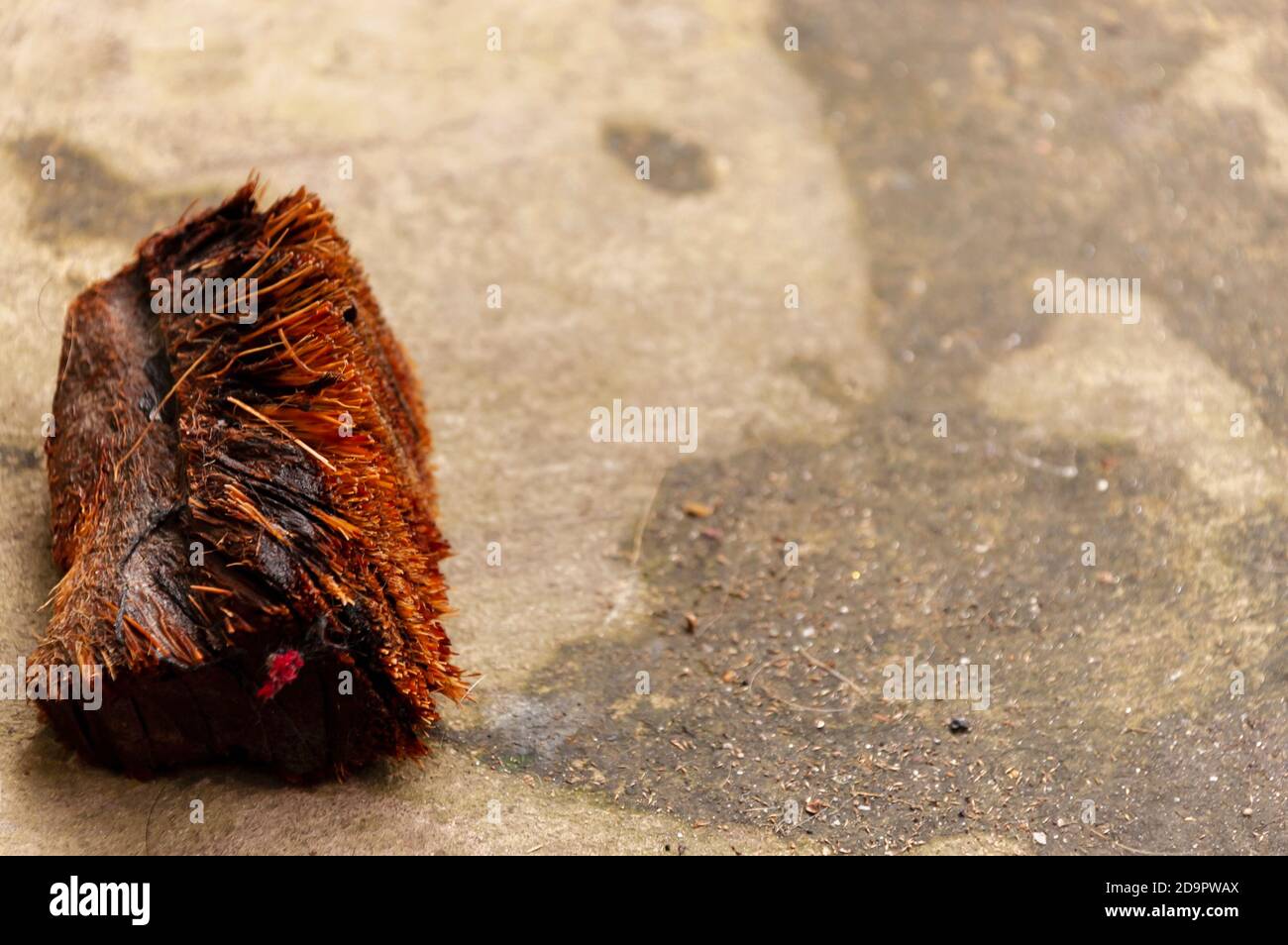 Eine Nahaufnahme einer Kokosnussbürste, die für Reinigungszwecke in Indien und südasiatischen Ländern verwendet wird. Stockfoto