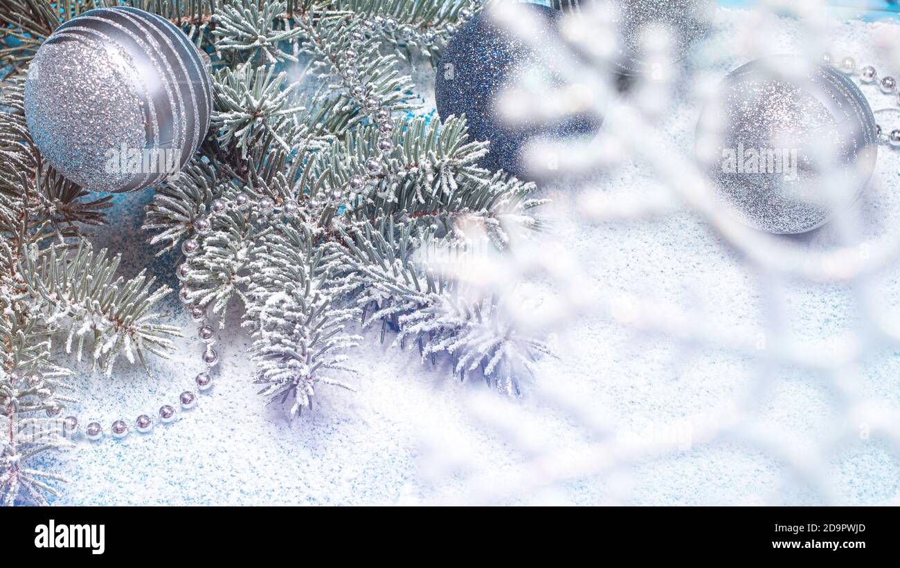 Der Ast aß im Schnee mit weißen Perlen auf Ein schneebedeckter Hintergrund - ein schönes frostiges Neujahrsfoto 2021 Stockfoto