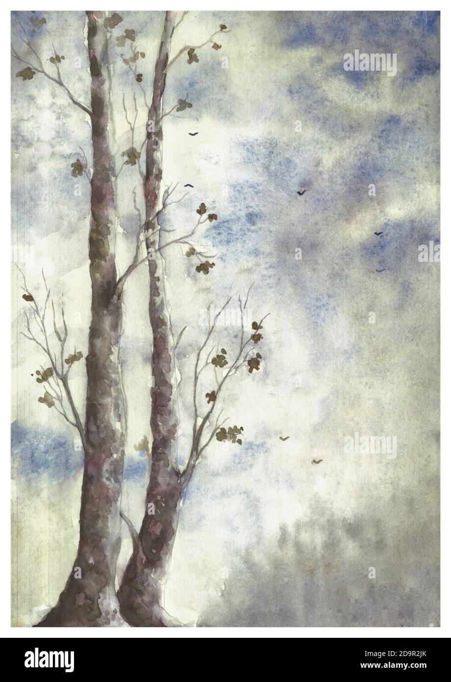Aquarellmalerei. Platanenbaum im Herbst. Nebliger und wolkiger Himmel. Detail einer Natur. Stockfoto