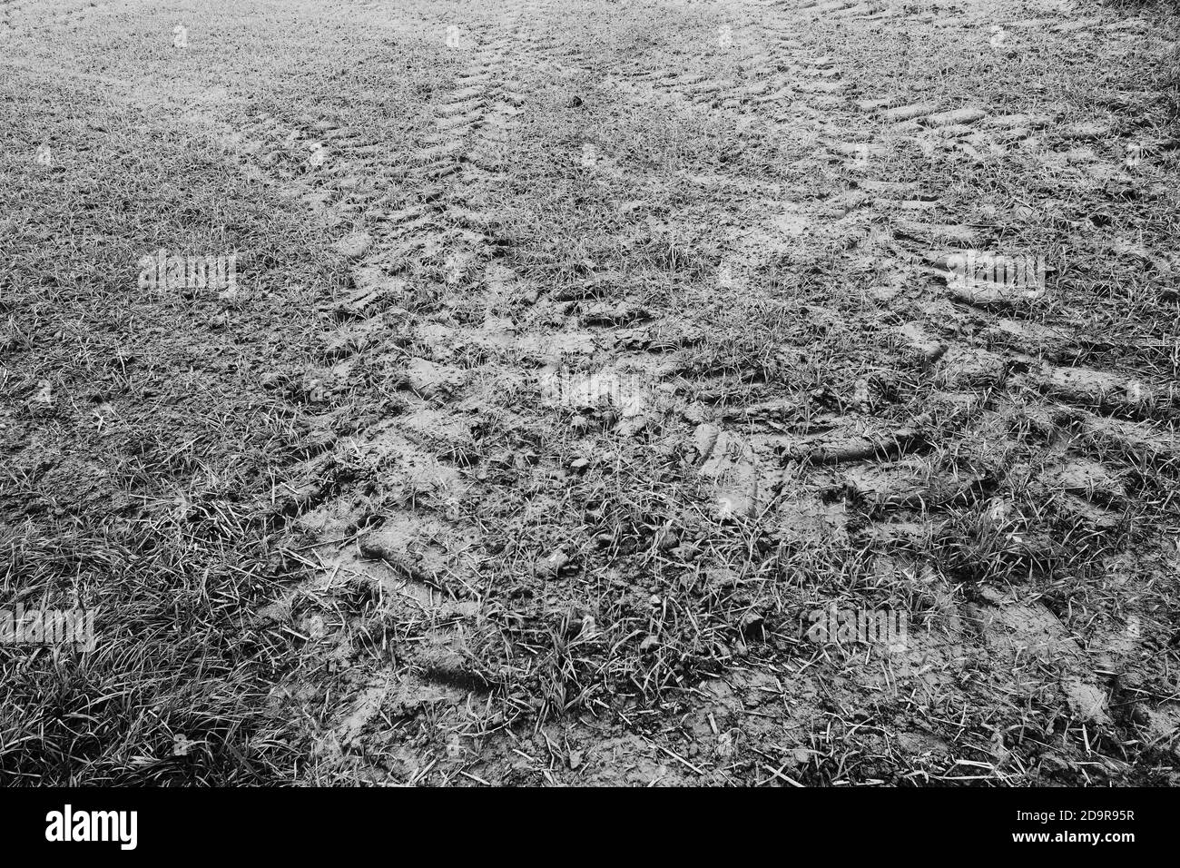 Natürlicher Hintergrund mit Traktorreifen Spuren in nassem schlammigem Feld Stockfoto