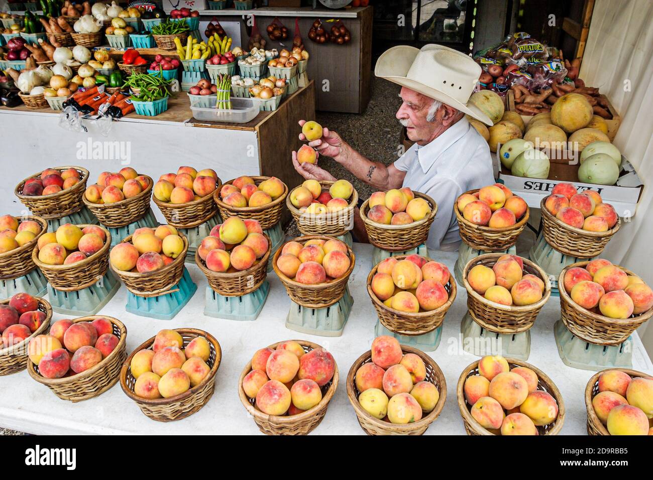 Louisiana Northshore, Abita Springs, Bauernmarkt produzieren Obstpfirsiche Verkäufer Stand Stand Stand Stand, lokal angebauten Senior Mann verkauft Körbe, Stockfoto