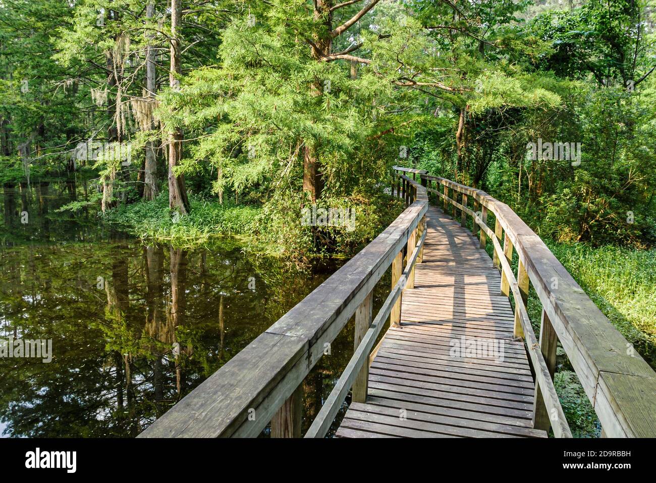 Louisiana Northshore, Mandeville, Northlake Nature Center Walk erhöhte Promenade, Stockfoto