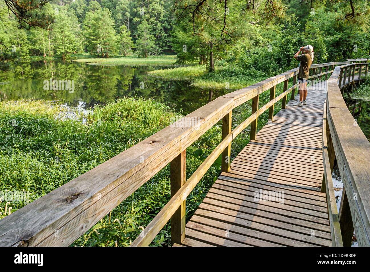 Louisiana Northshore, Mandeville, Northlake Nature Center Centre Walk erhöhte Promenade, Frau Fernglas Vogelbeobachter Vogelbeobachter Vogelbeobachter, Stockfoto