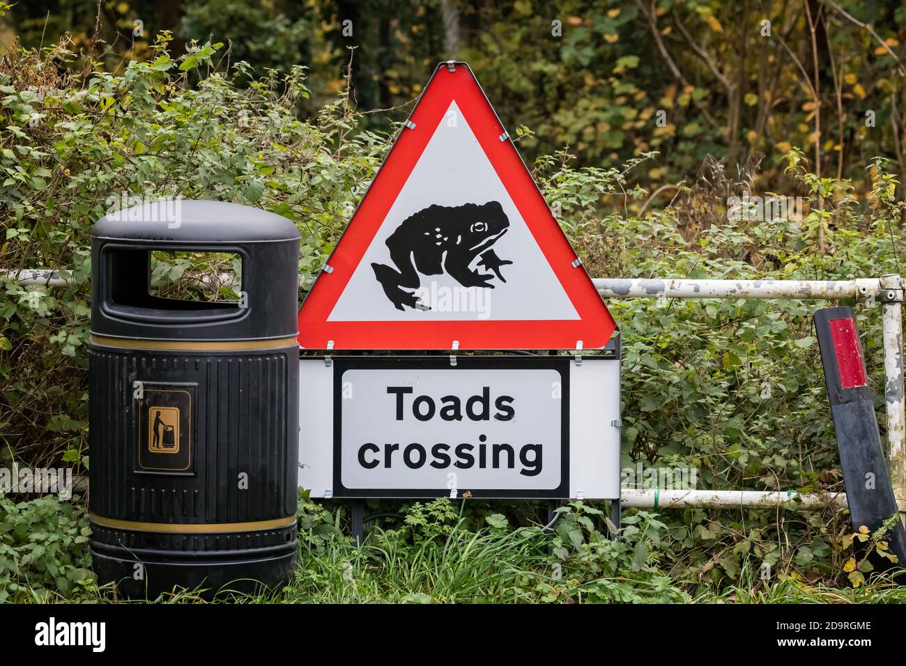 Straßenschild „Toads Crossing“ in der Landschaft von Wiltshire Stockfoto
