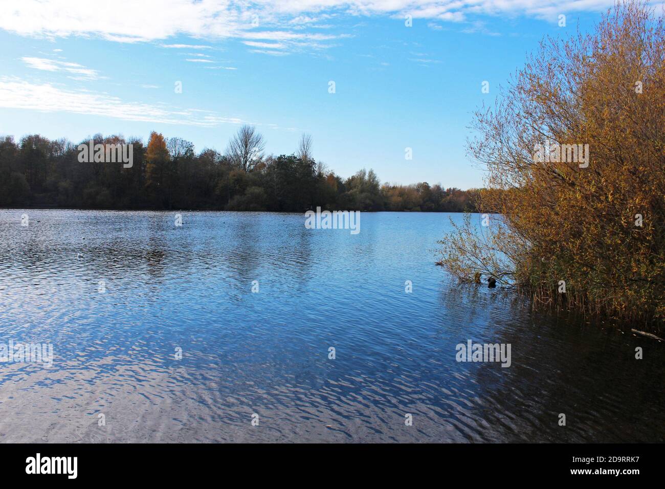 Wunderschöne Landschaft des Chorlton Wasserpark in England, ruhiger großer See, blauer Himmel, Büsche und Bäume an den Ufern Stockfoto