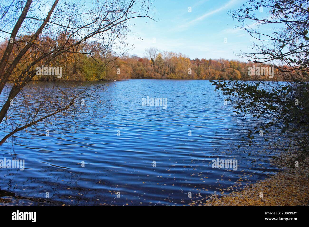 Wunderschöne Landschaft des Chorlton Wasserpark in England, großer blauer ruhiger See, blauer Himmel, Herbstbüsche und Bäume an den Ufern Stockfoto