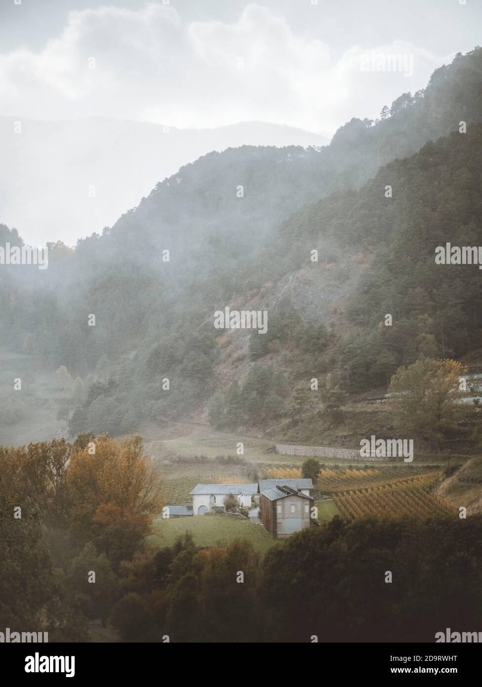 Ruhe nach einem heftigen Regen Stockfoto