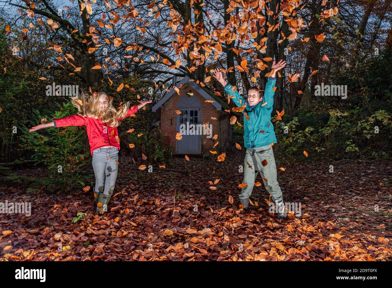 Preston, Lancashire, Großbritannien. November 2020. Spielen mit dem letzten Fall von Buchenblättern in einem Garten in der Nähe von Preston, Lancashire. UK Credit: John Eveson/Alamy Live News Stockfoto