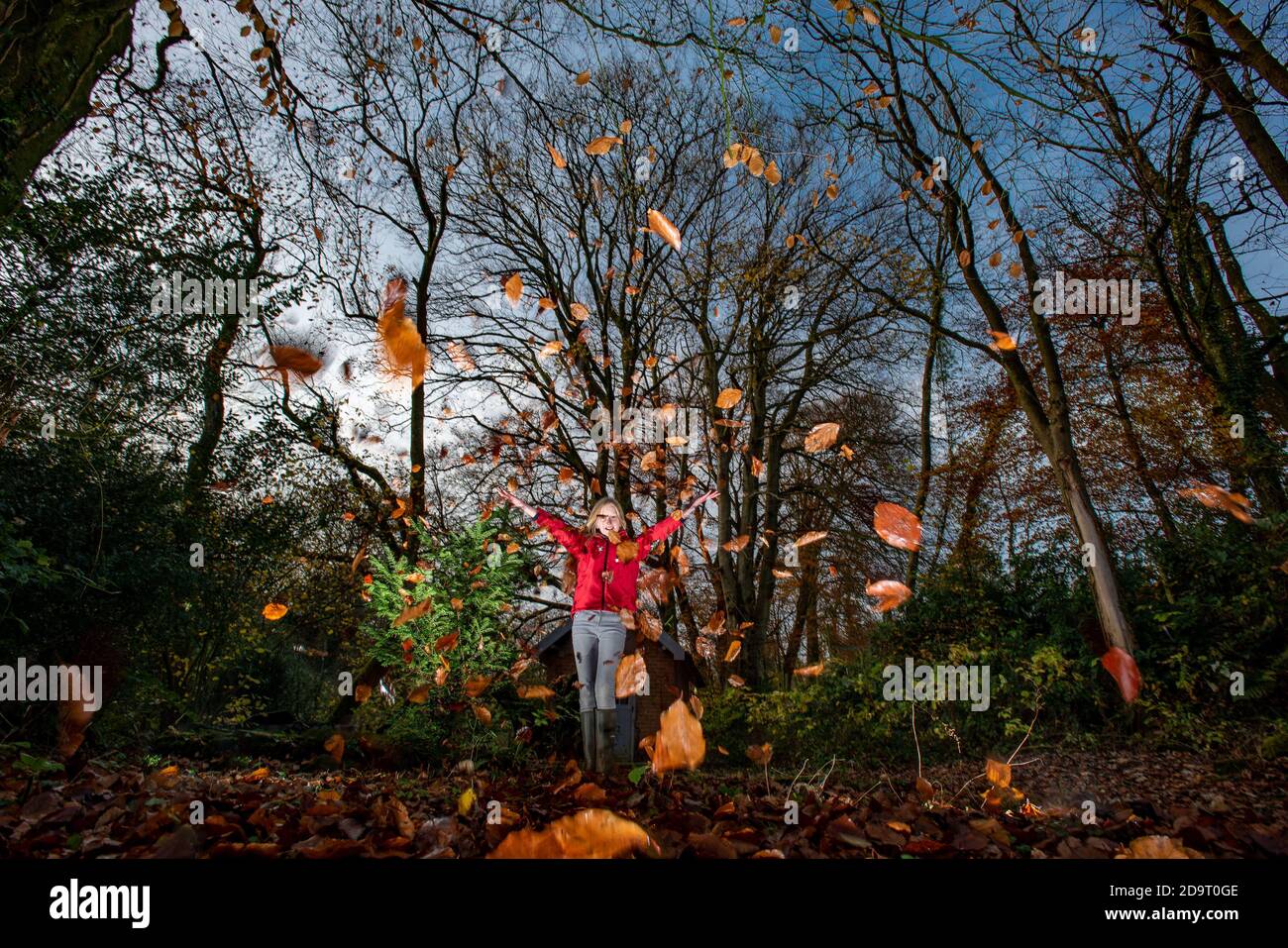 Preston, Lancashire, Großbritannien. November 2020. Spielen mit dem letzten Fall von Buchenblättern in einem Garten in der Nähe von Preston, Lancashire. UK Credit: John Eveson/Alamy Live News Stockfoto