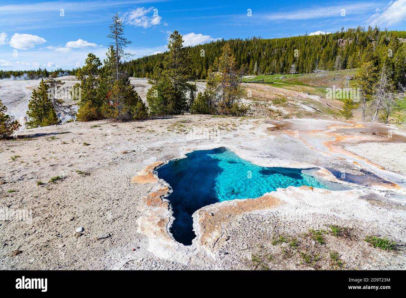 West Thumb Geyser Basin im Yellowstone National Park, Wyoming Stockfoto