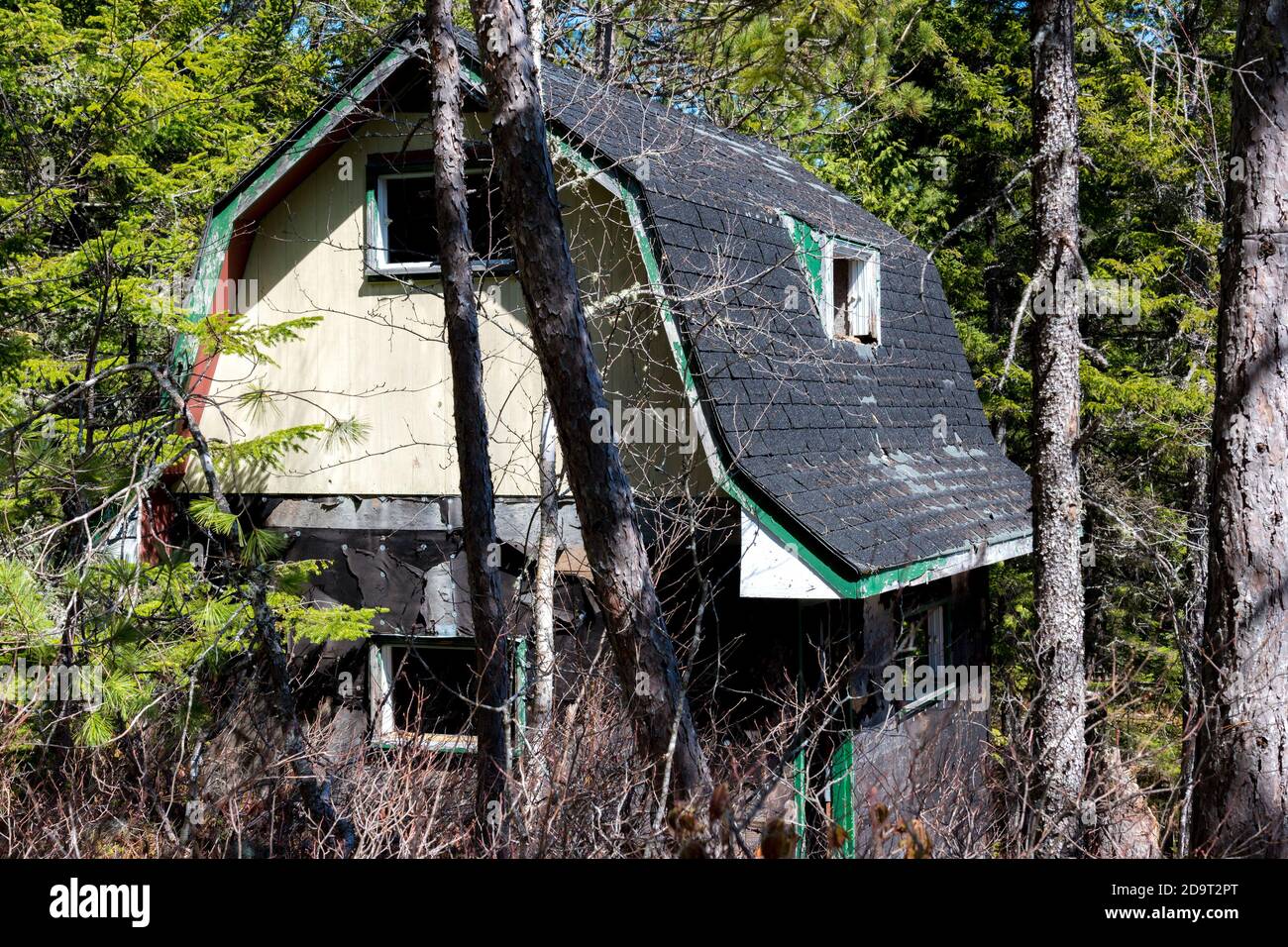 Verlassene Hütte im Wald. Das Glas fehlt an den Fenstern, die Abstellgleise fällt ab, das Dach ist in schlechtem Zustand. Die Hütte wird durch Bäume gesehen. Stockfoto