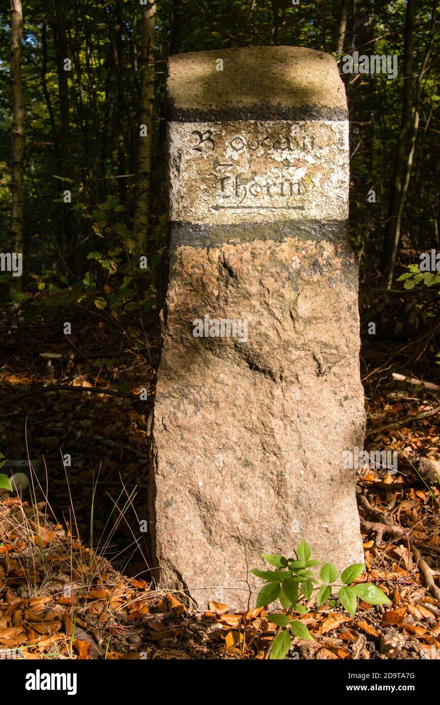 Ein alter Markierungsstein führt den Weg zwischen Chorin und Brodowin Stockfoto