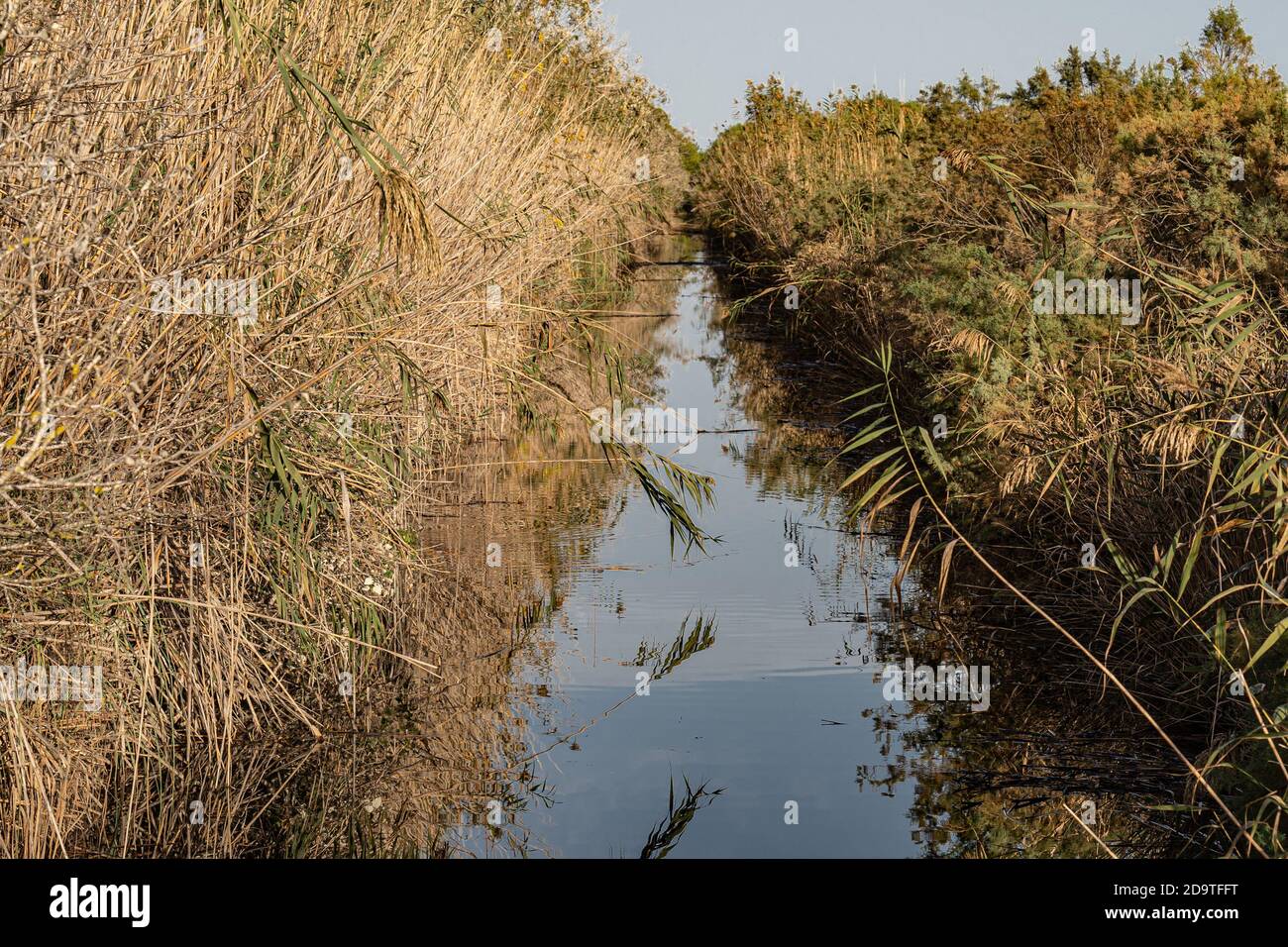 Foto der Lagune von Alcudia, auf Mallorca, dem größten Feuchtgebiet der Balearen ​​the. Stockfoto