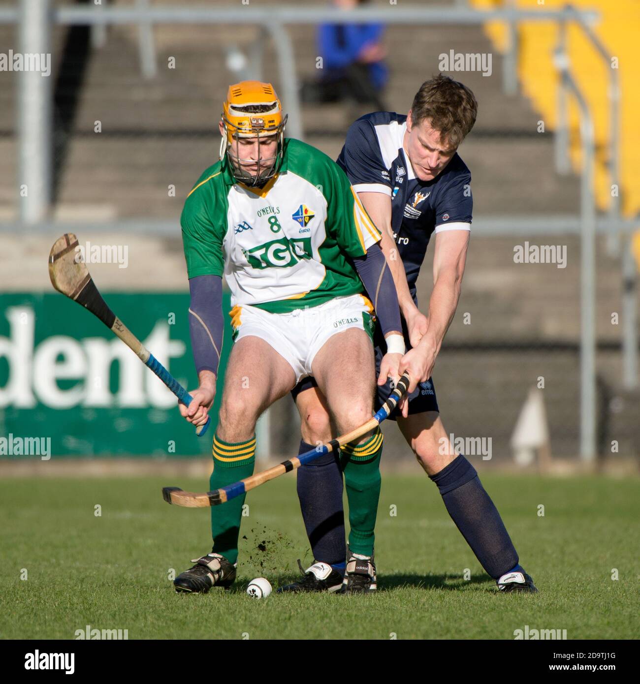 Irland V Schottland, shinty / Hurling international, spielte in Ennis, Co. Clare, Irland. Der schottische Spieler bricht sich in der Herausforderung seinen Stock / Kaman. Stockfoto