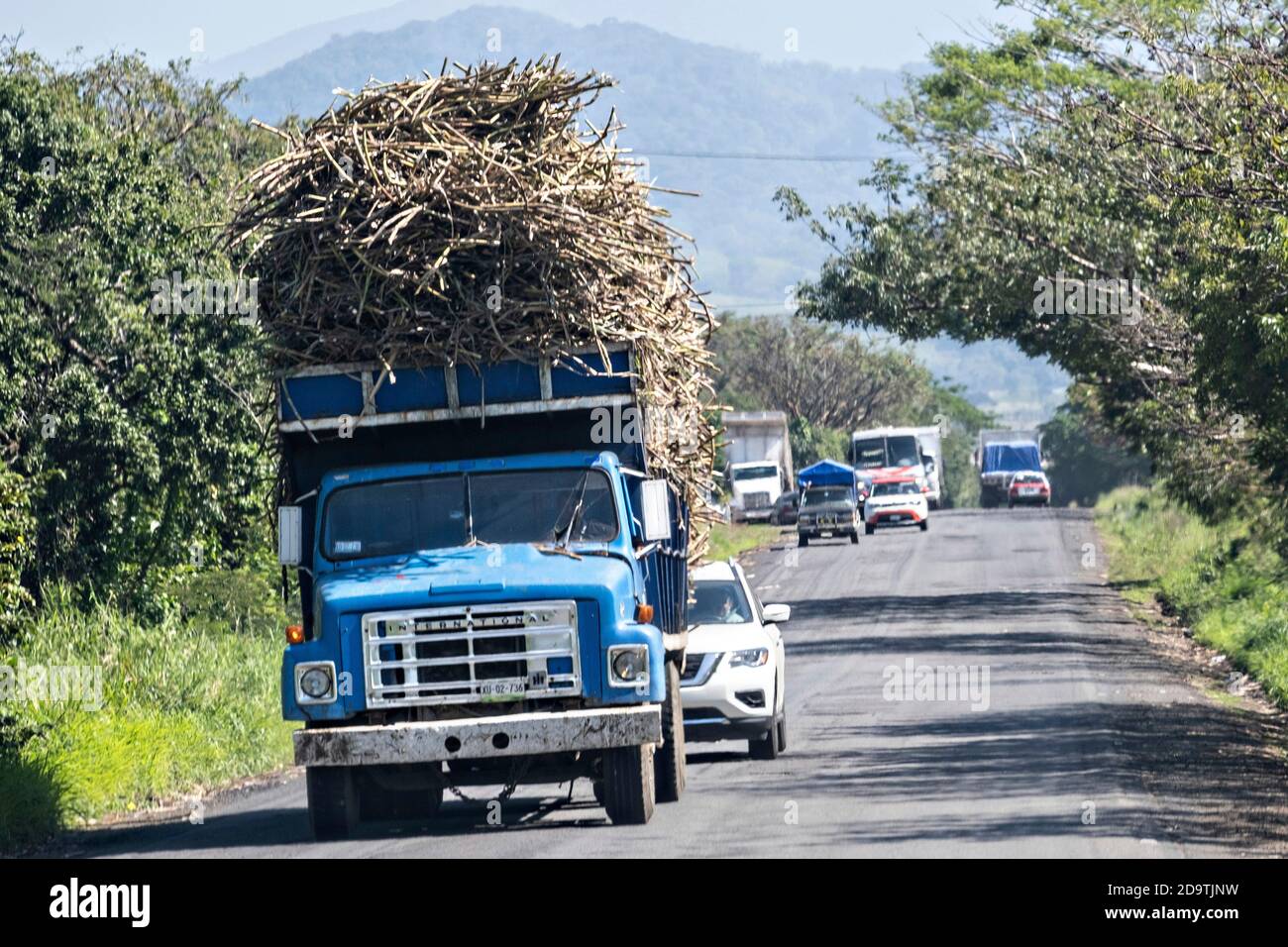 Überlastete Lastwagen mit gesäumtem Zuckerrohr fahren die winzige zweispurige Route 180 in der Nähe von Catemaco, Veracruz, Mexiko. Stockfoto