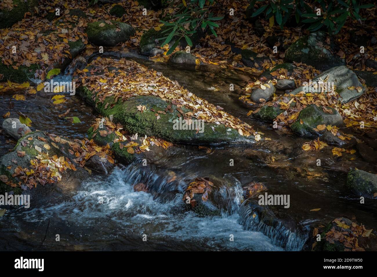 Landschaftlich reizvolle Aussichten entlang der Roaring Fork Falls Tour Road, Gatlinburg, Tennessee. Tolle smokies Mountains. Stockfoto