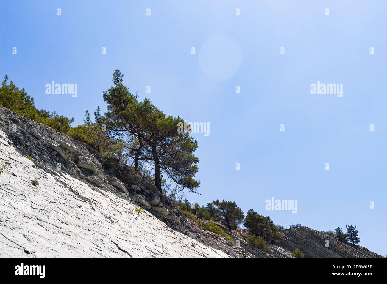 Eine Klippe mit Bäumen vor einem strahlend blauen Himmel mit Sonnenhighlights in einem wilden Strandbereich. Atemberaubende Sommerlandschaft. Steiler Hang und Pinien Stockfoto