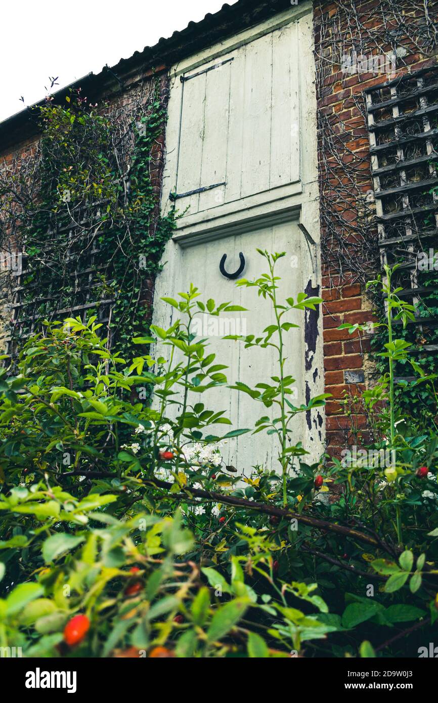 Schöne ländliche weiße rustikale Tür mit von Unkraut Treppen überwuchert, britische Landhaus in der Mitte des Nirgendwo. Stockfoto