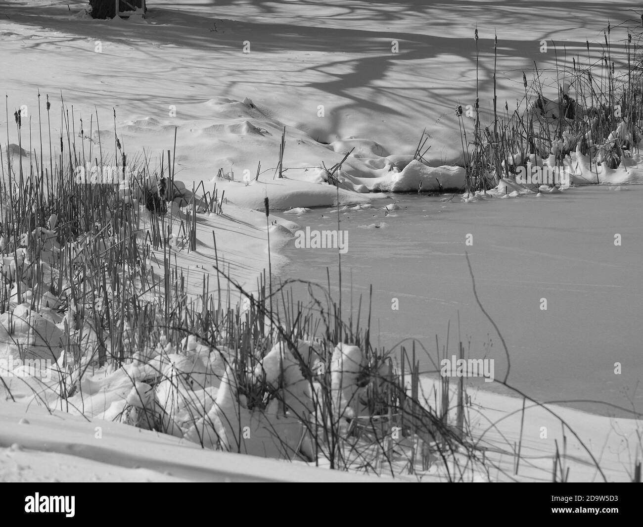 Winter Schneefall im nördlichen New Jersey Park. Schnee ist auf Felsen und entlang der Teiche Küste gestapelt gesehen. Das Hotel liegt in Jefferson Township NJ Stockfoto