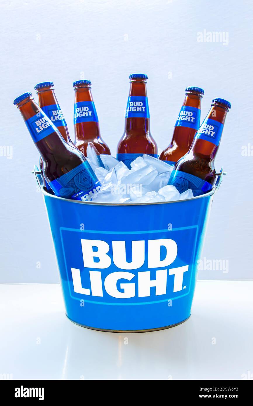 Calgary, Alberta, Kanada. November 2020, 01. Ein Bud Light Beer Eimer mit sechs Bierflaschen mit Eis auf weißem Hintergrund. Stockfoto