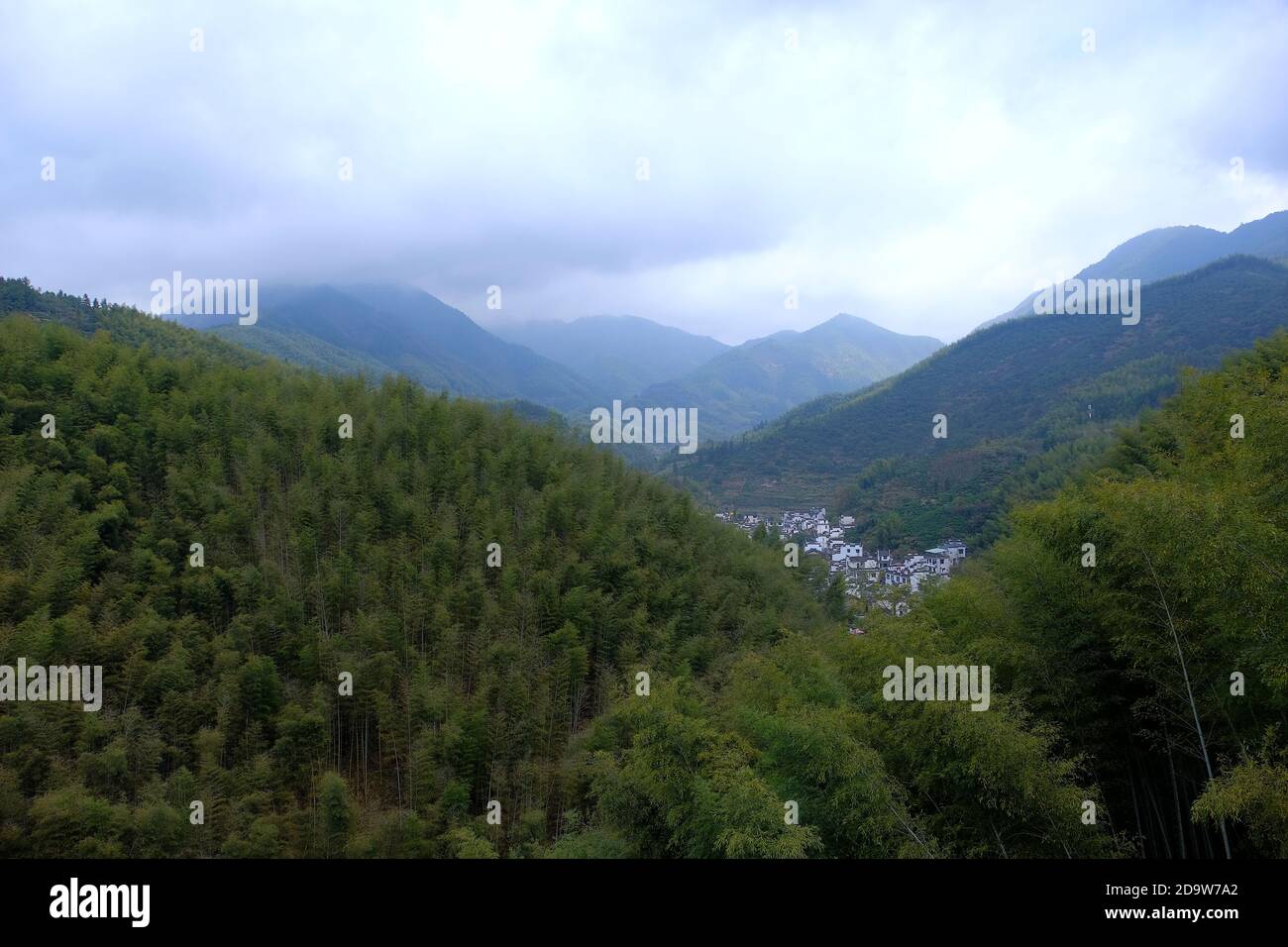 Blick auf üppige Bambuswälder in Mukeng Zhuhai, das Tal des Dorfes Mukeng und die umliegenden Hügel in der Stadt Huangshan. Stockfoto