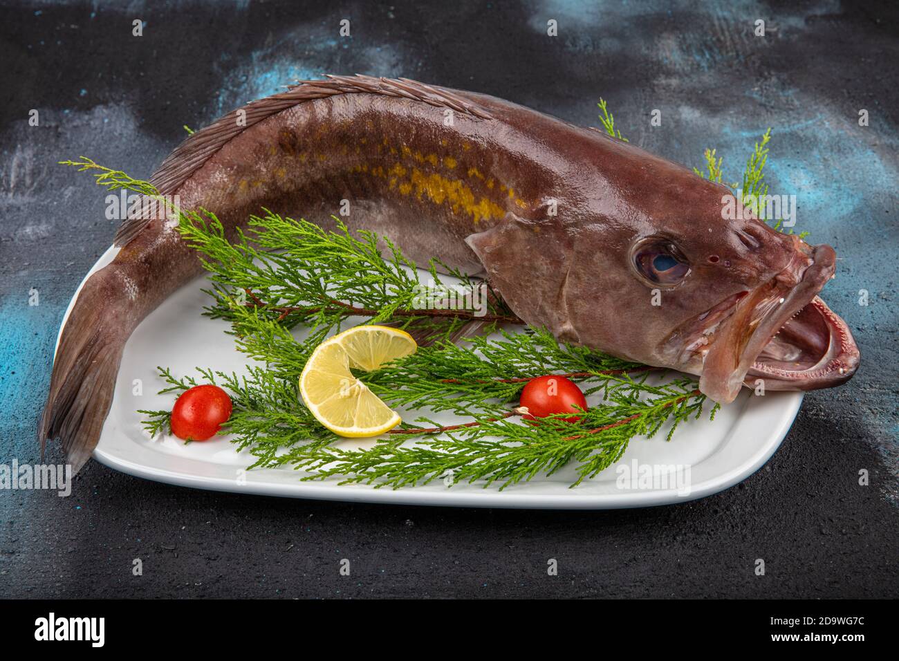 Nahaufnahme Grouper Fisch, Meeresfrüchte, Fisch auf dem Markt, Ansicht von oben Grouper Fisch auf dem Markt. (Lagos Fish). Stockfoto