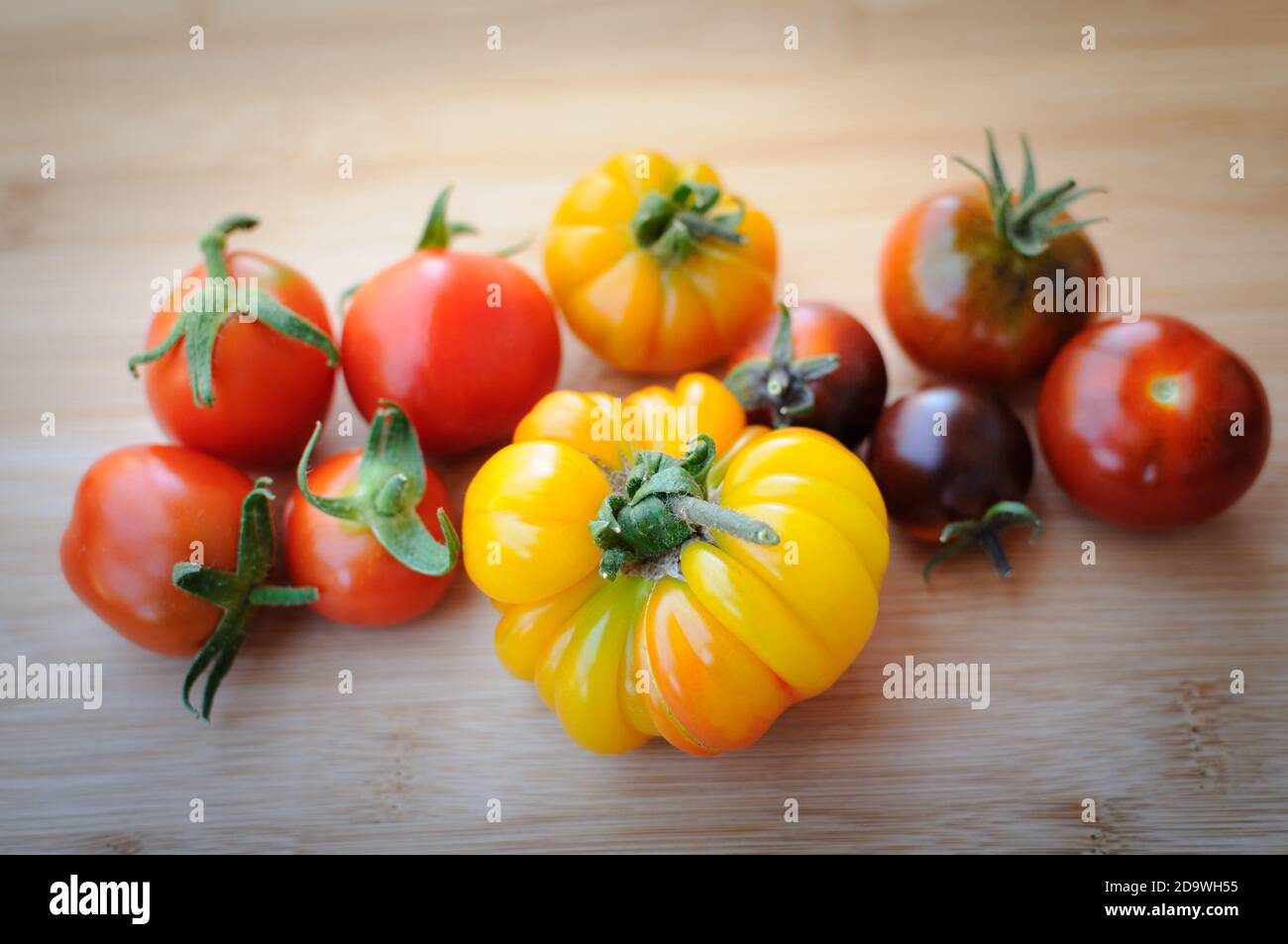 Gesundes Essen mit historischen bunten Bio-Tomaten frisch aus dem Garten. Stockfoto