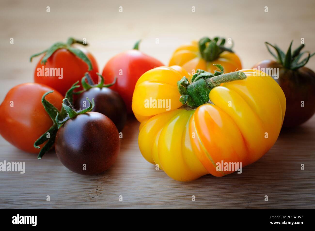 Gesundes Essen mit historischen bunten Bio-Tomaten frisch aus dem Garten. Stockfoto