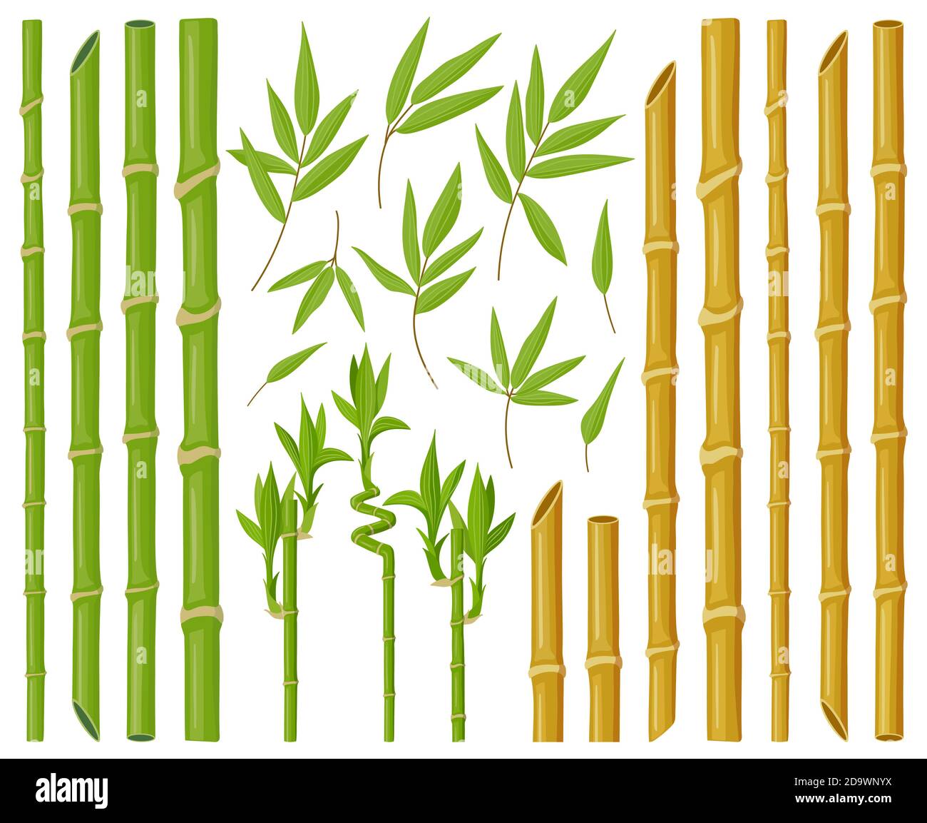 Cartoon Bambuspflanzen. Asiatische Bambusstämme, Stiele und Blätter, frische grüne Stick Pflanzen mit Laub, natürliche Bambus-Pflanze Vektor-Illustration-Set Stock Vektor