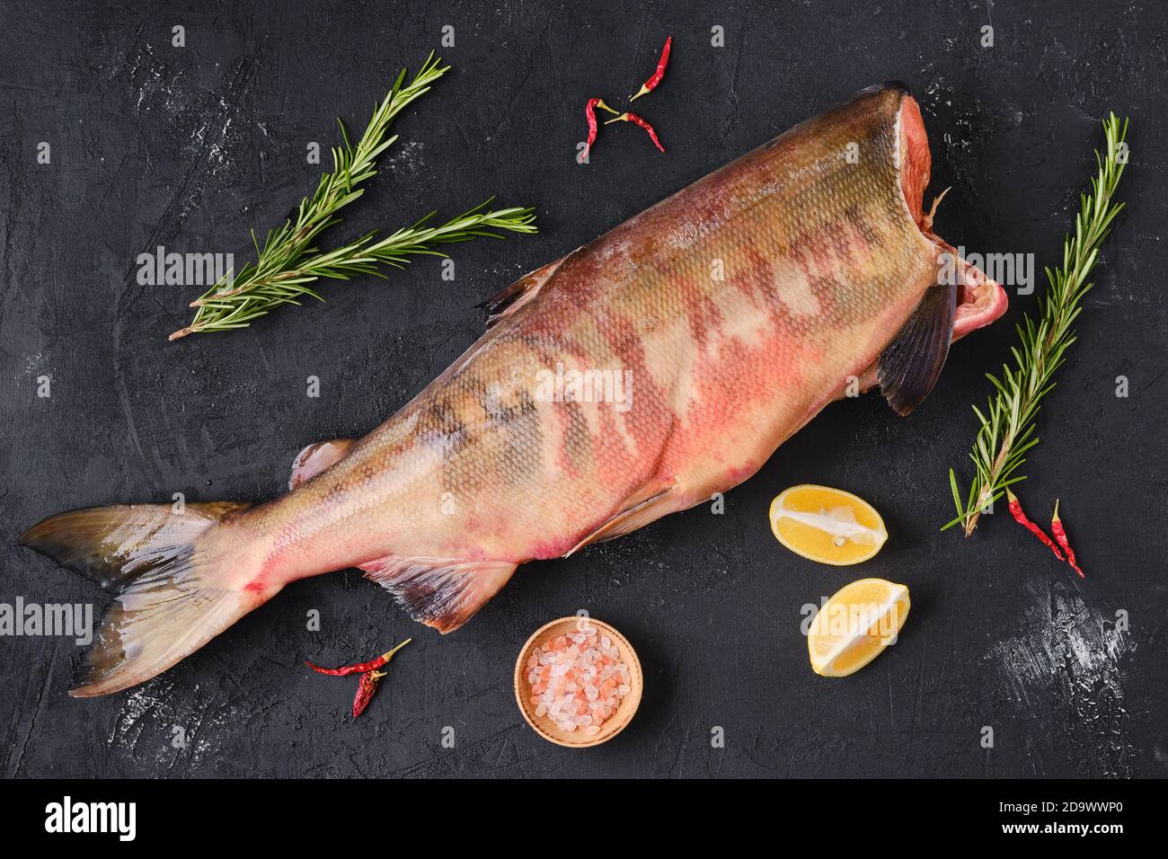 Gefrorener roher kopfloser Chum-Fisch auf dunklem Hintergrund Stockfoto