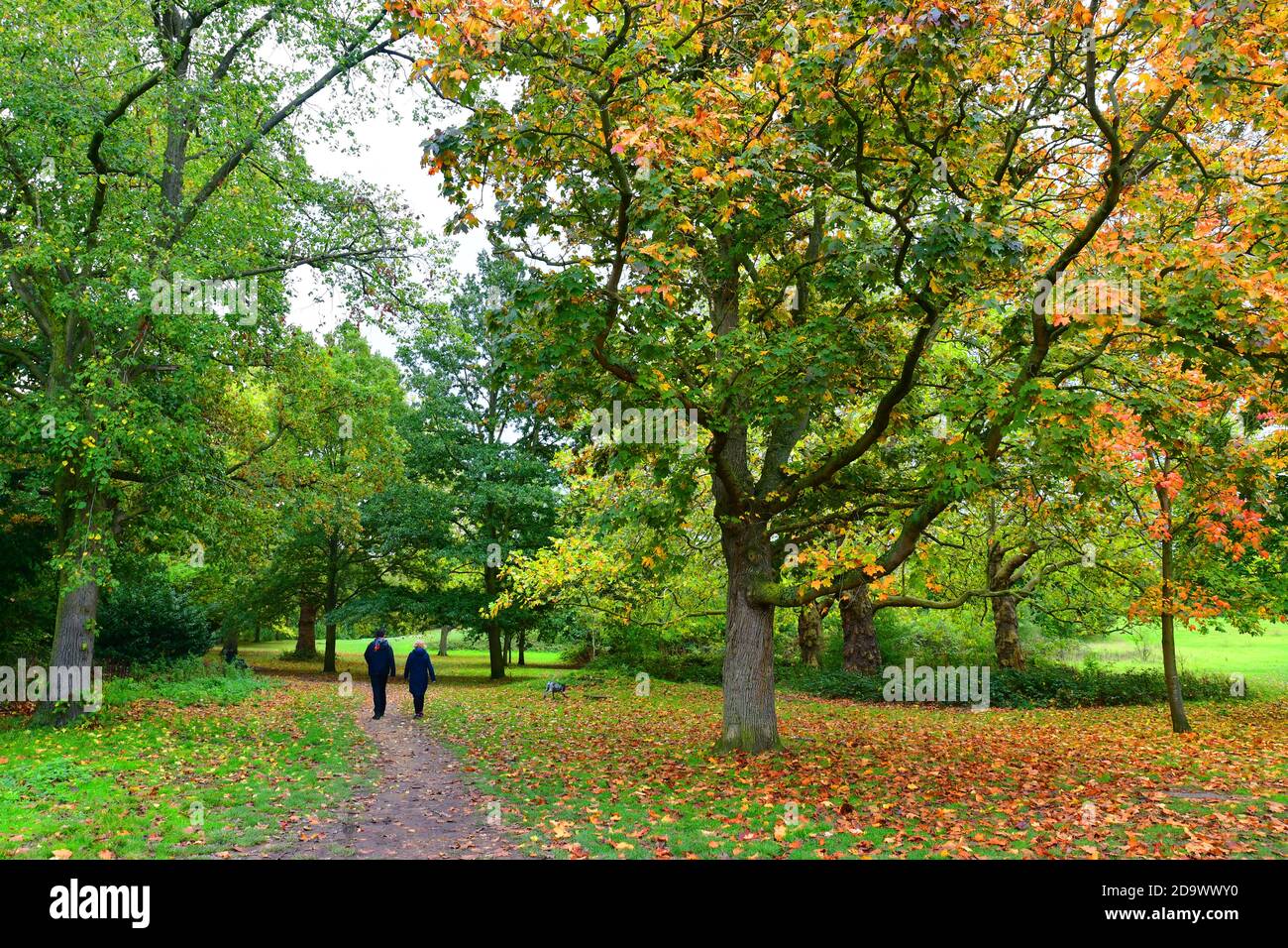 Menschen genießen einen Herbstspaziergang durch Osterley Park, Isleworth, Hounslow, London, Großbritannien Stockfoto