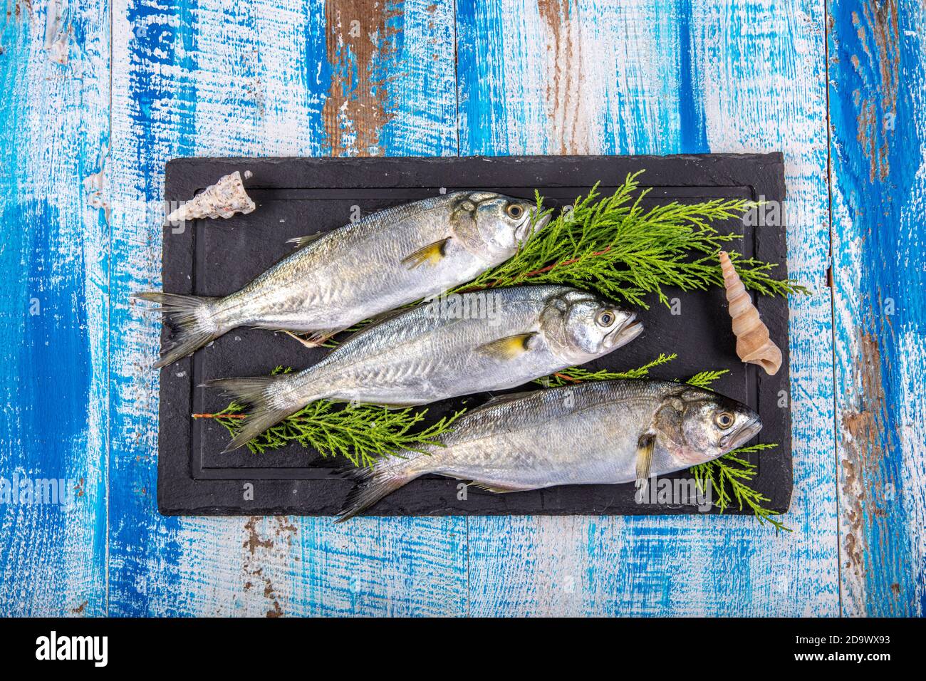 Roher Fisch (Blaufisch). Seefische, blaue Fische und Zitronen zusammen auf Holzhintergrund. Stockfoto