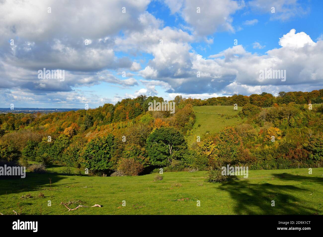 Blick über die Hügel von Cadsden, Buckinghamshire, Großbritannien. Herbstfarben, Herbst, rustikale Blätter Stockfoto