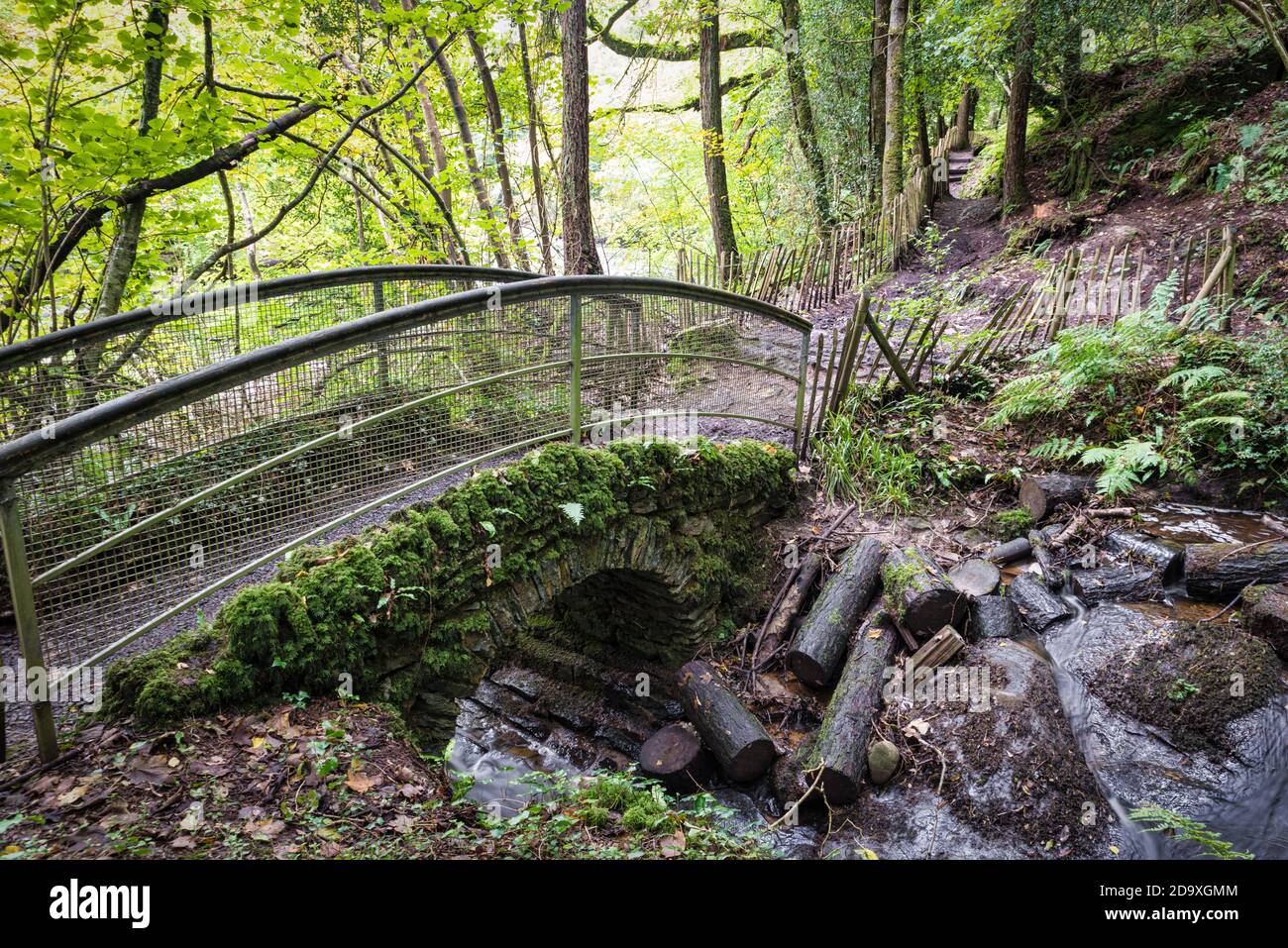 Eine kleine Brücke für Wanderer im Roe Valley Country Park In der Nähe von Limavady Nordirland Stockfoto