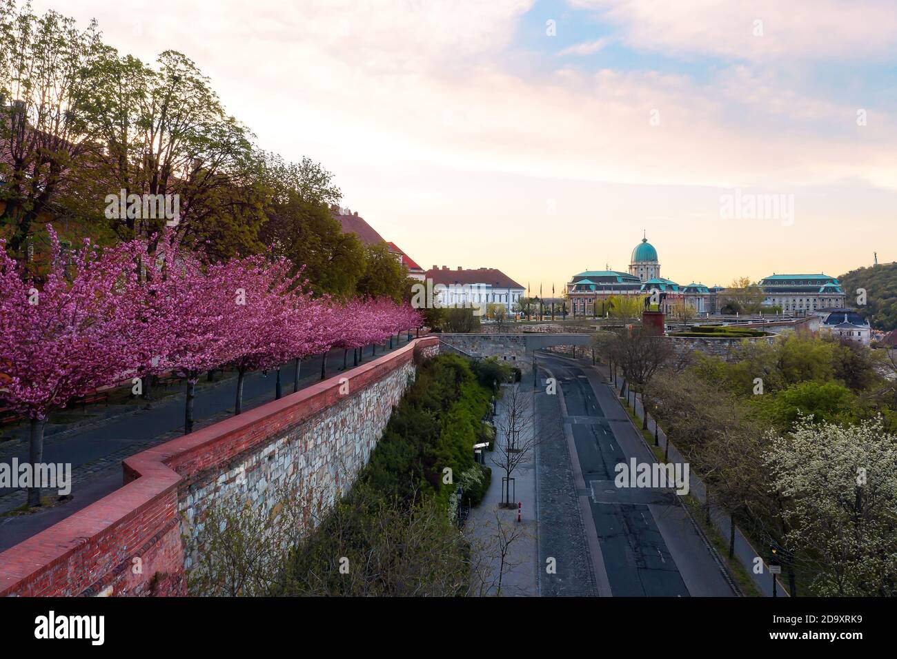 Europa Ungarn Budapest. Der berühmte Königspalast der Budaer Burg an einem Frühlingsnachmittag mit blühender Kirschblüte Stockfoto