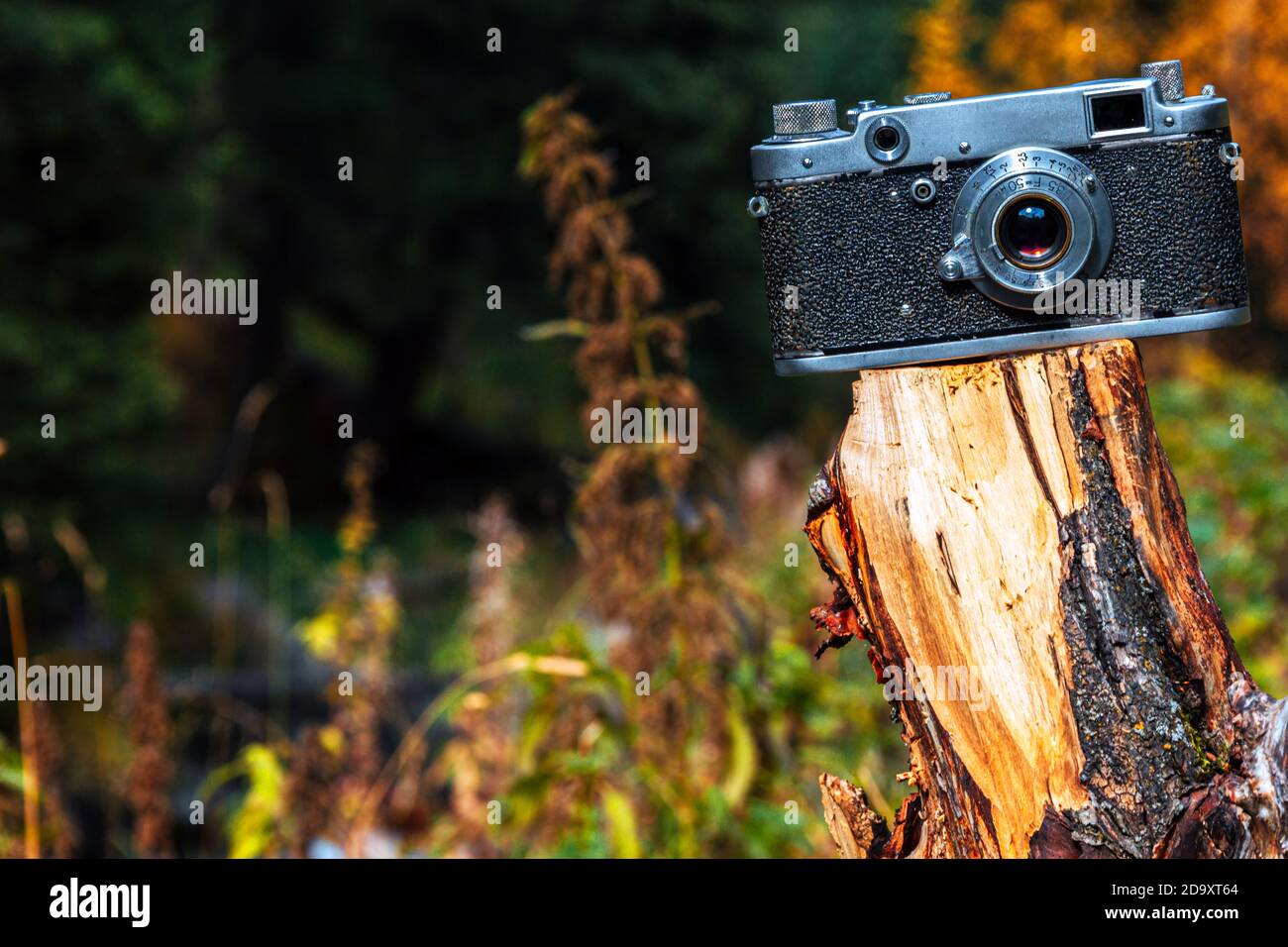 Vintage Fotokamera auf dem natürlichen Hintergrund Stockfoto