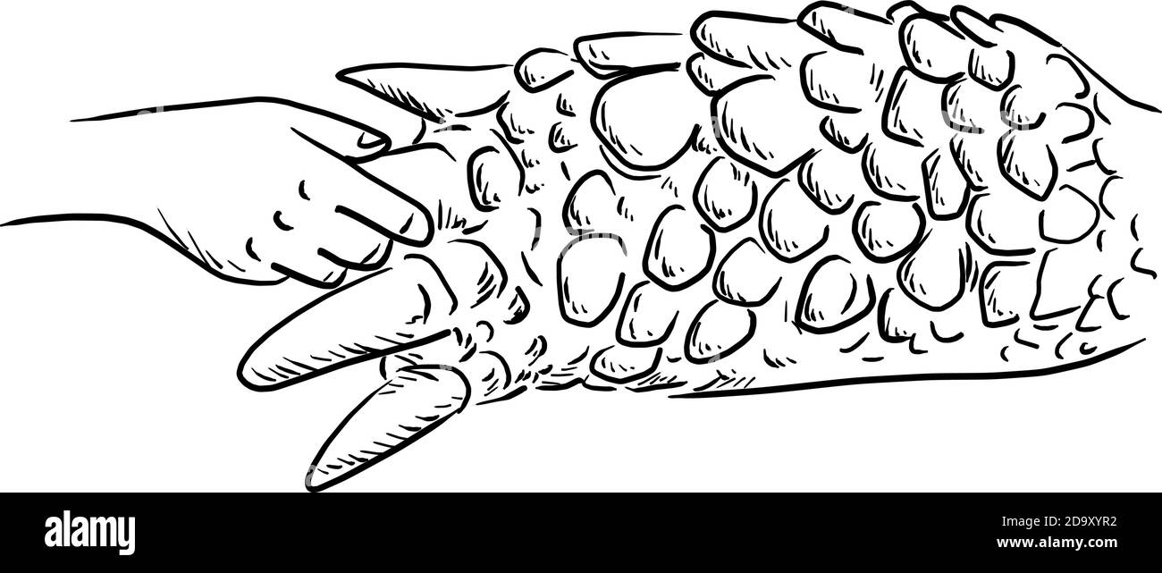 Nahaufnahme menschlichen Handschlag Bein Schildkröte Vektor Illustration Skizze Doodle Hand gezeichnet isoliert auf weißem Hintergrund. Umgebungskonzept. Stock Vektor