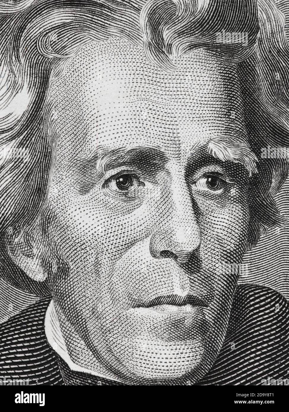 Andrew Jackson Gesicht auf zwanzig Dollar Rechnung Nahaufnahme Makro, 20 usd, usa Geld Nahaufnahme Stockfoto