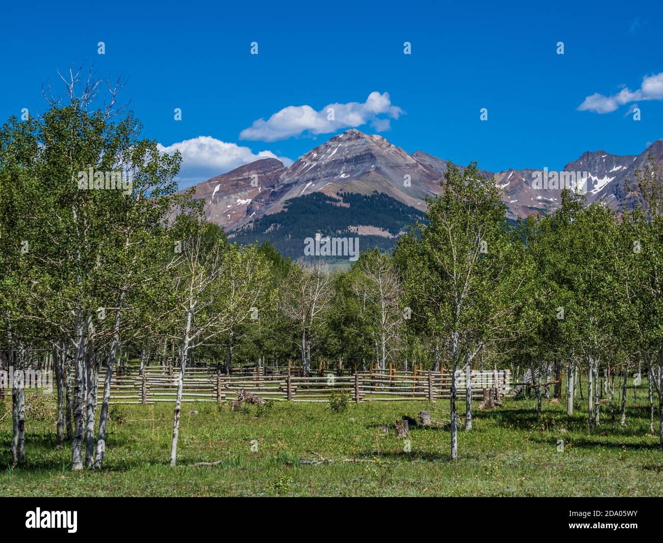 La Plata Mountains vom Upper Chicken Creek Trailhead, San Juan National Forest in der Nähe von Mancos, Colorado. Stockfoto
