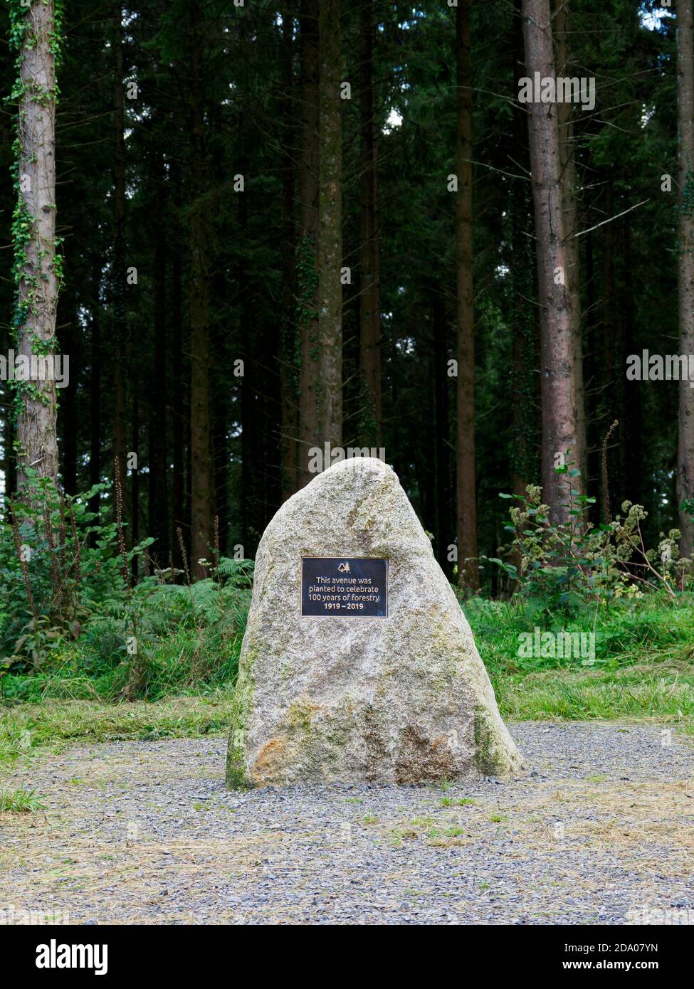 Stein mit Gedenktafel an eine neue Baumallee gepflanzt am 9. Dezember 2019 anlässlich des 100. Jahrestages der Forstkommission, Eggesford Fore Stockfoto