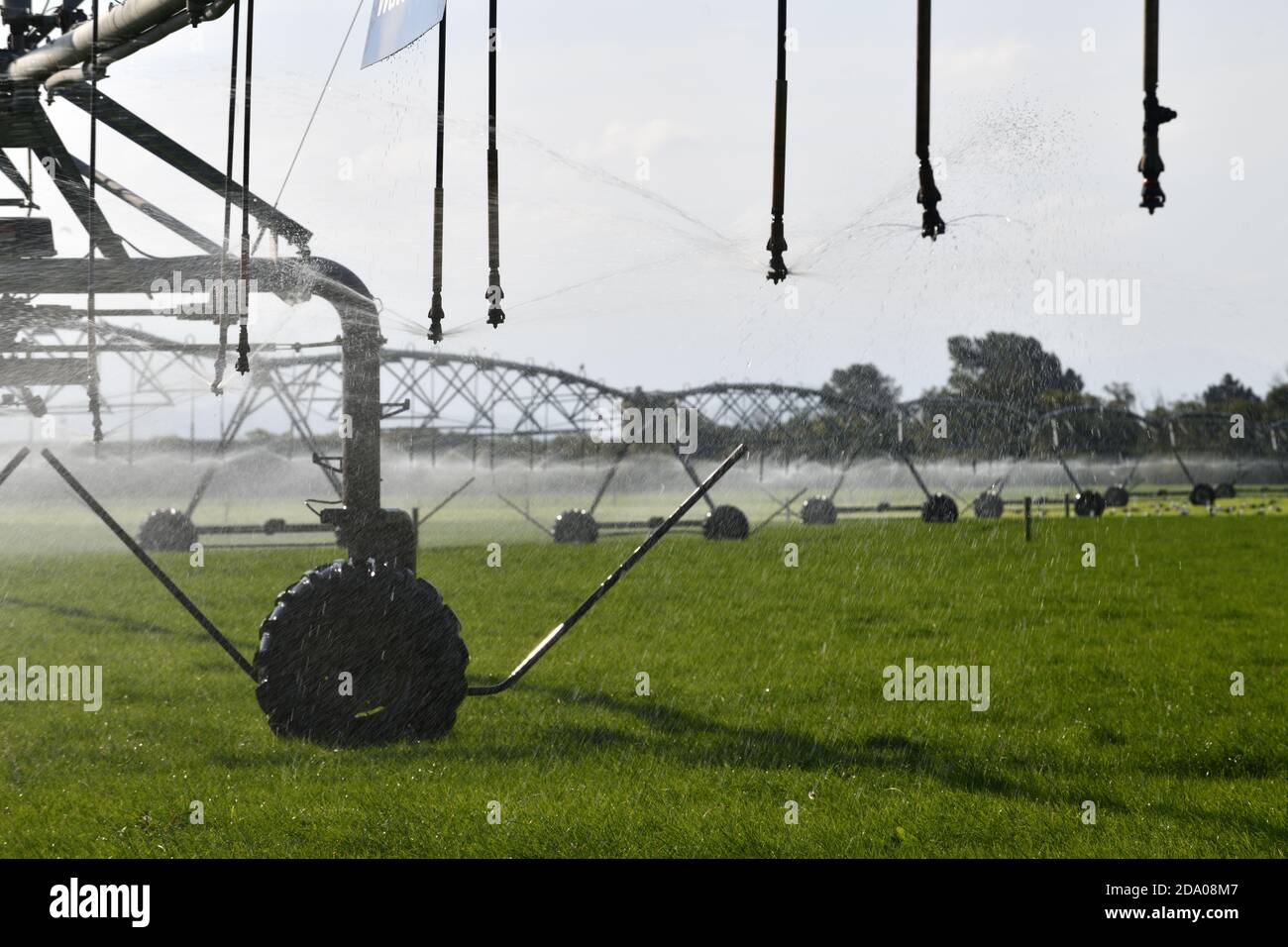 Bewässerungssprinkler Wasser Milchweide in Canterbury, Neuseeland, wo Wasserversorgung hat sich zu einem umstrittenen Thema Stockfoto