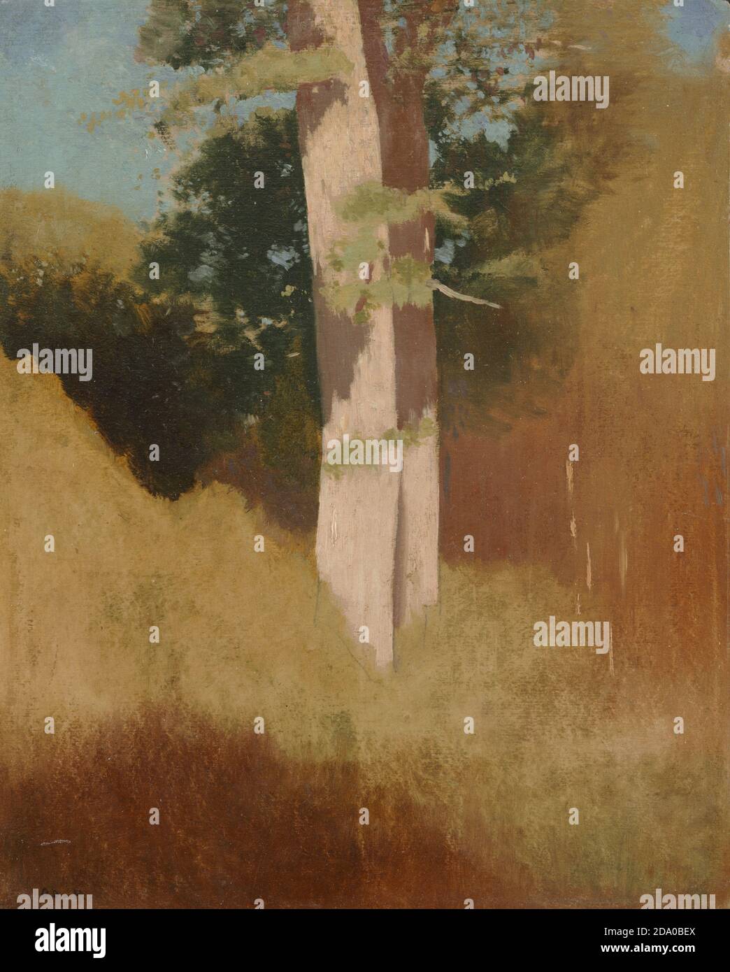 Odilon Redon - Bäume am blauen Himmel. C 1883. Berühmtes Gemälde. Hochauflösendes Lackieren. Stockfoto