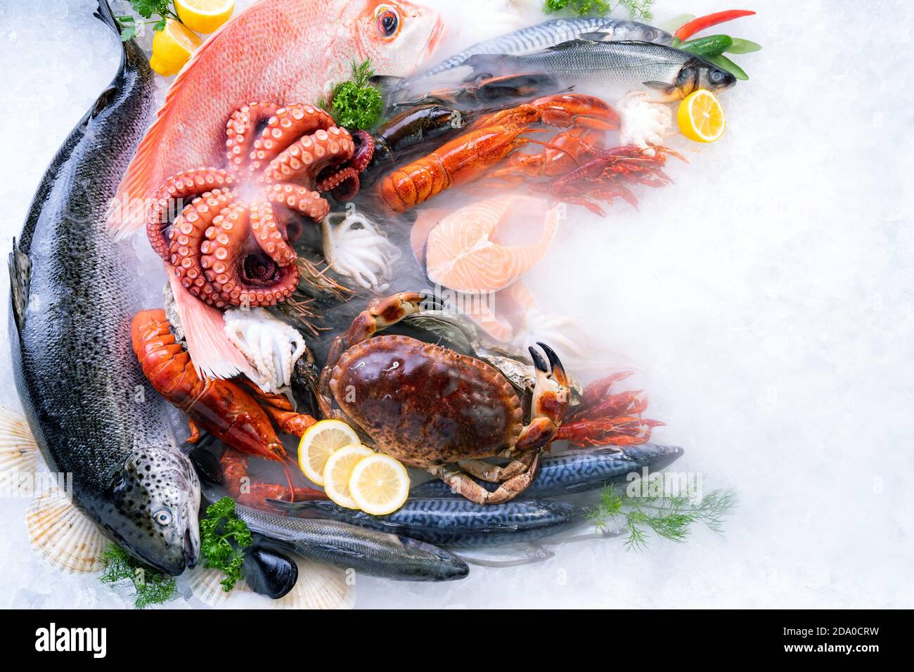 Blick von oben auf die Vielfalt an frischen luxuriösen Meeresfrüchten, Hummer Lachs Stein Krabben Makrelen Krabbenkrabben Krabbenmuschel und Jakobsmuschel, auf Eis Hintergrund mit eisigen Stockfoto